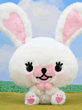 Mofy